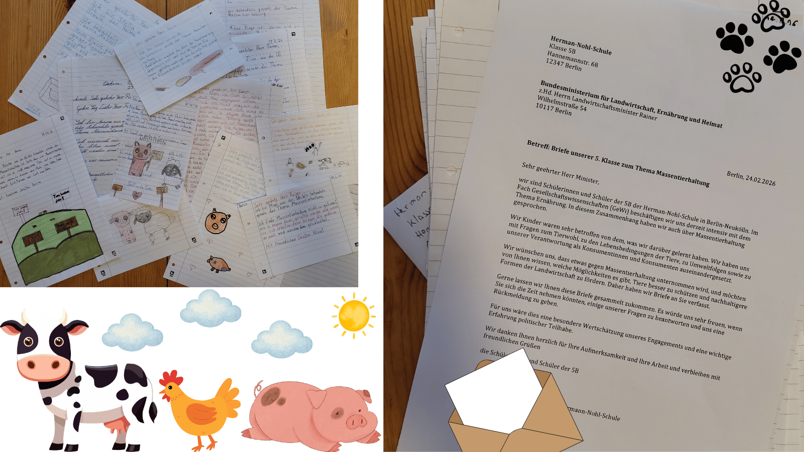 Die 5B gegen Massentierhaltung